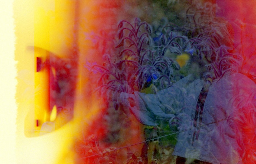 film swap con mia, sumergido en expresso, silica gel, kiwi y moras